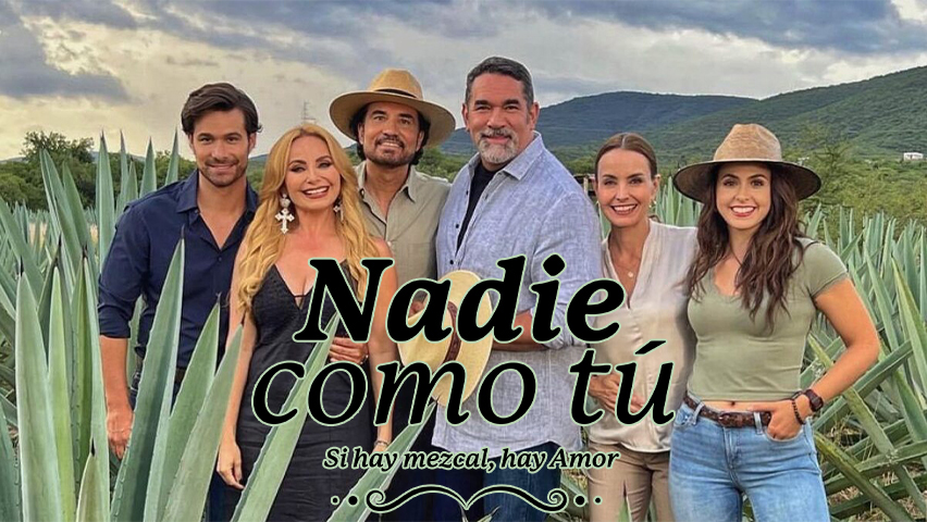 Nadie Como Tu Capitulo 90 Completo En HD